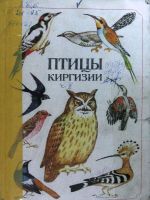 Птицы Киргизии. Часть 2
